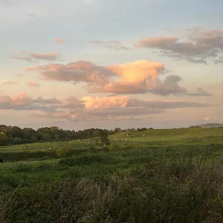 Casa de hóspedes Clara Sallins