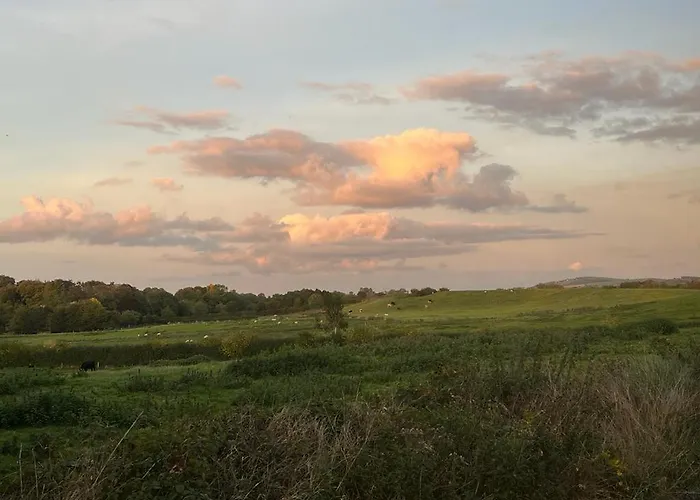 Pensión Clara Sallins