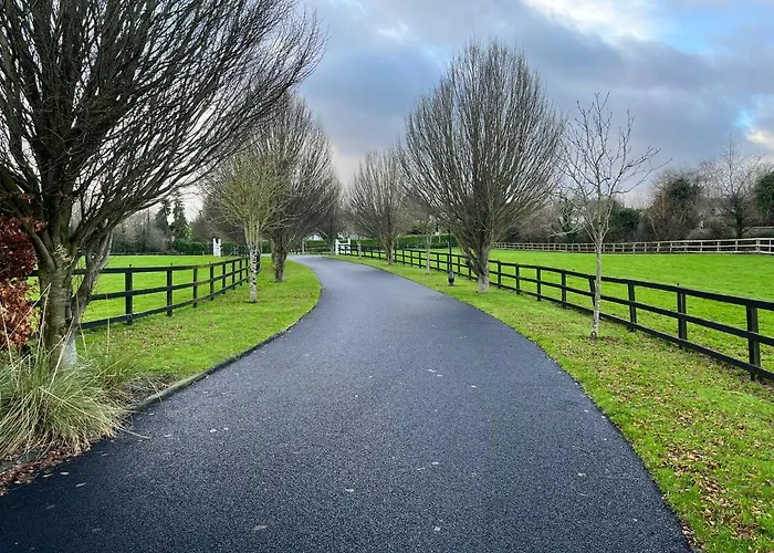 Clara Konukevi Sallins